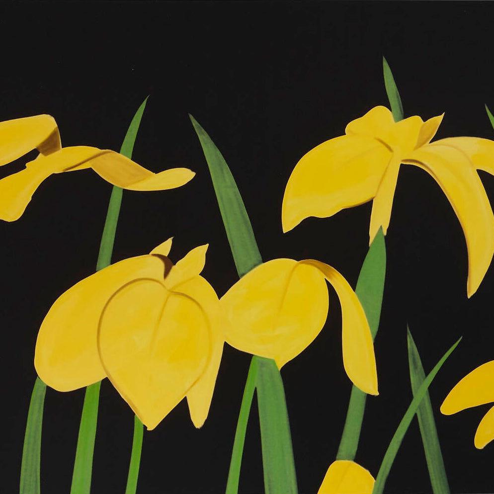 Alex Katz prints and artworks available from Dovehouse Contemporary