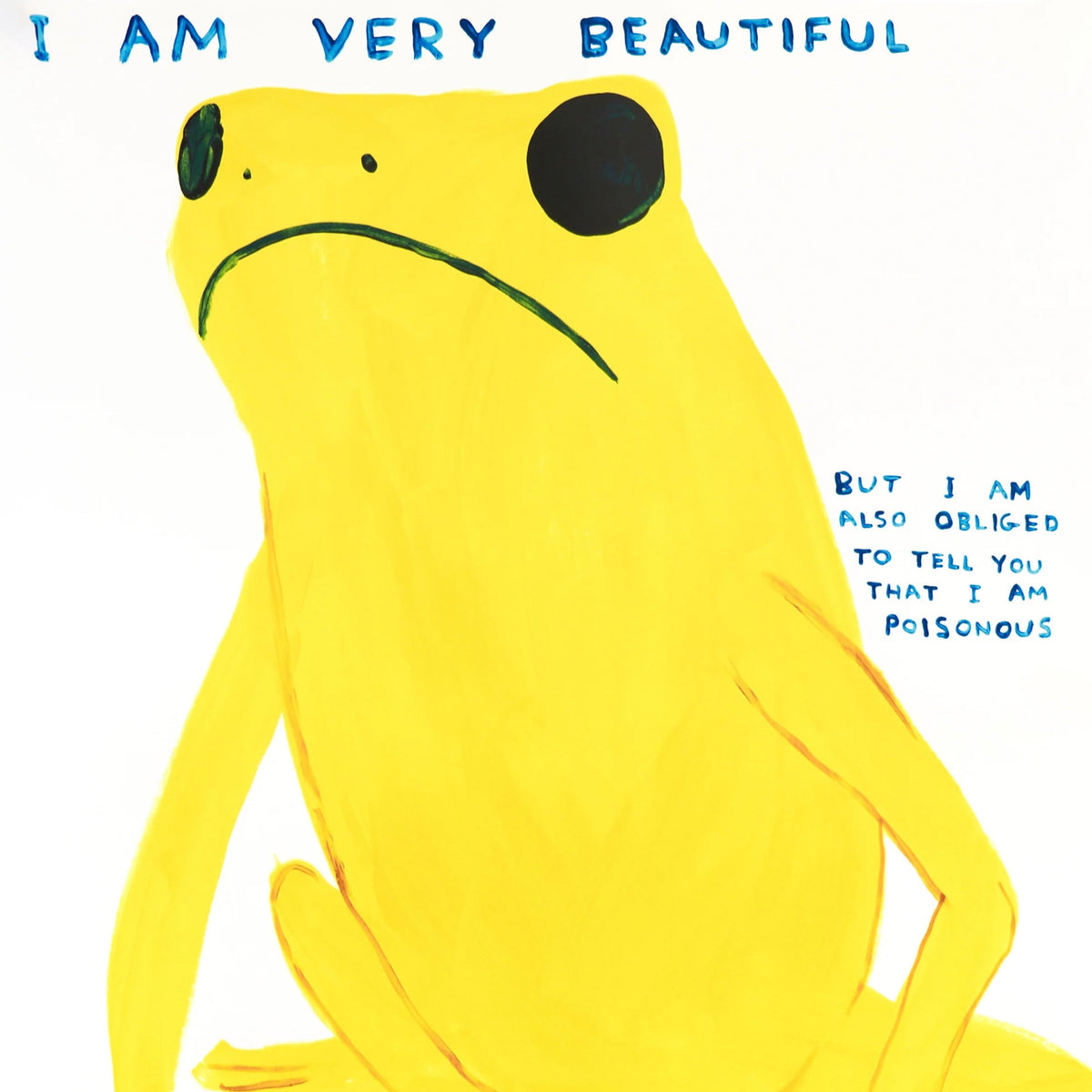 David Shrigley prints and artworks available from Dovehouse Contemporary
