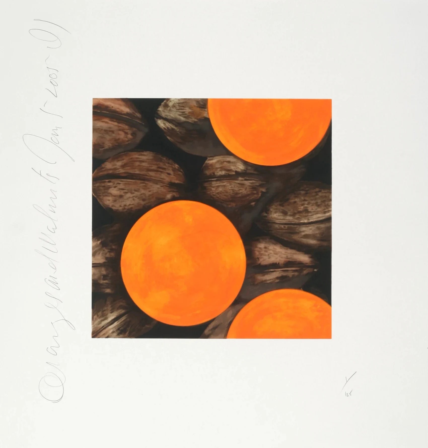 Oranges and Walnuts, Jan. 5 2005