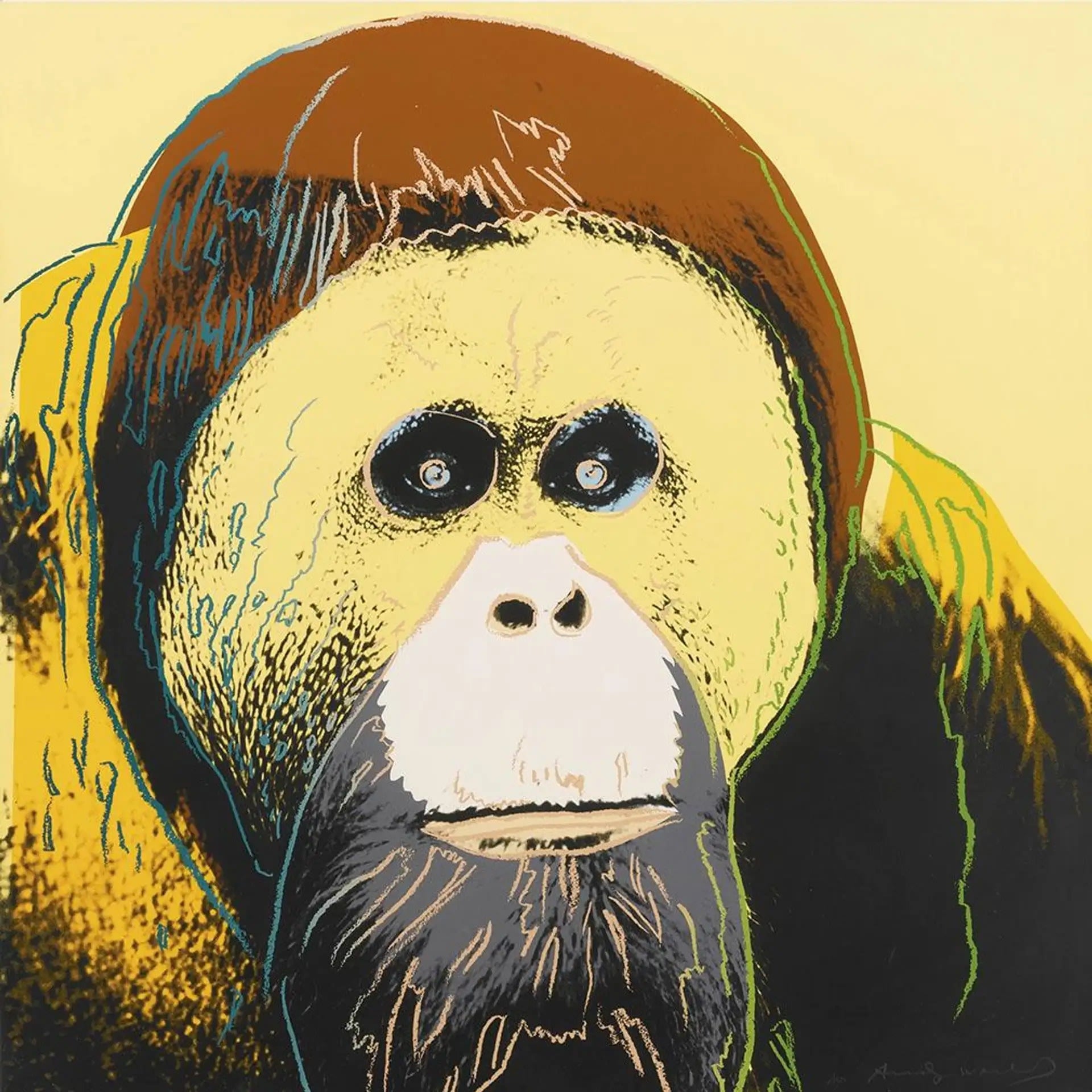 Orangutan (F. & S. II. 299) - My Store