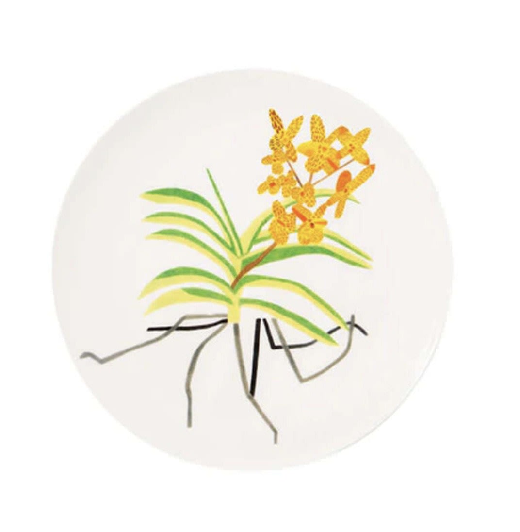 Clipping Plate - My Store