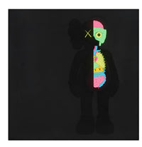 Dissected Companion (Black)