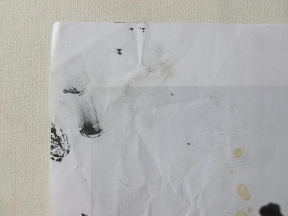 Robert Walser photocopy print, paint marks and paper condition detail 2
