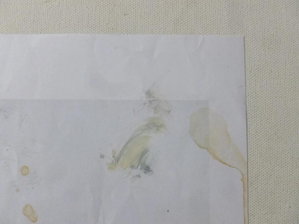 Robert Walser photocopy print, paint marks and paper condition detail 5