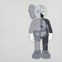 Dissected Companion (Grey)
