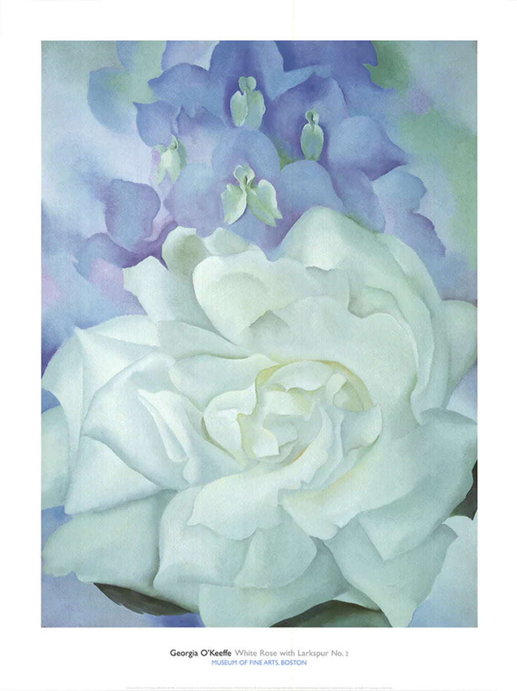 White Rose with Larkspur No.2
