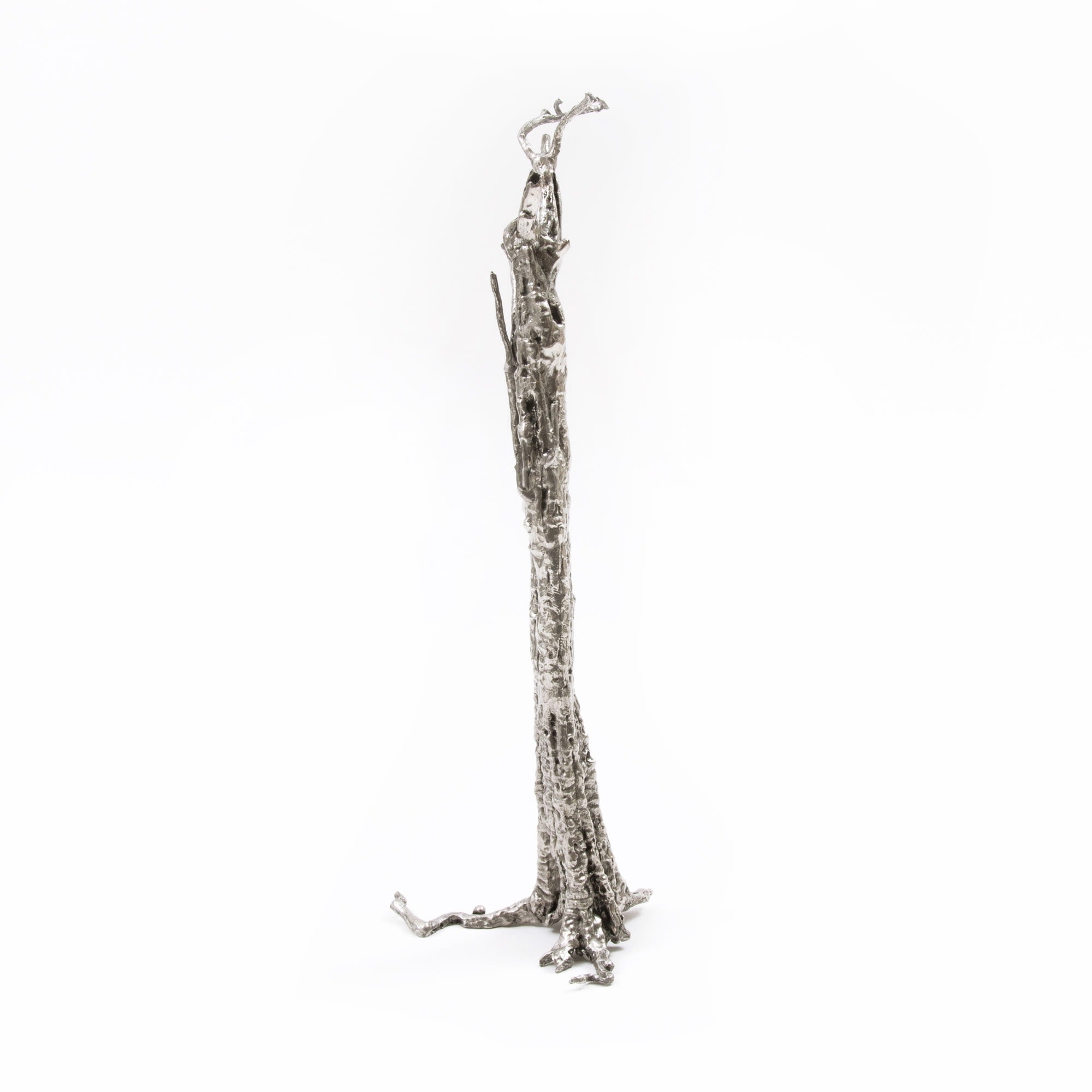 Pequi Tree - My Store