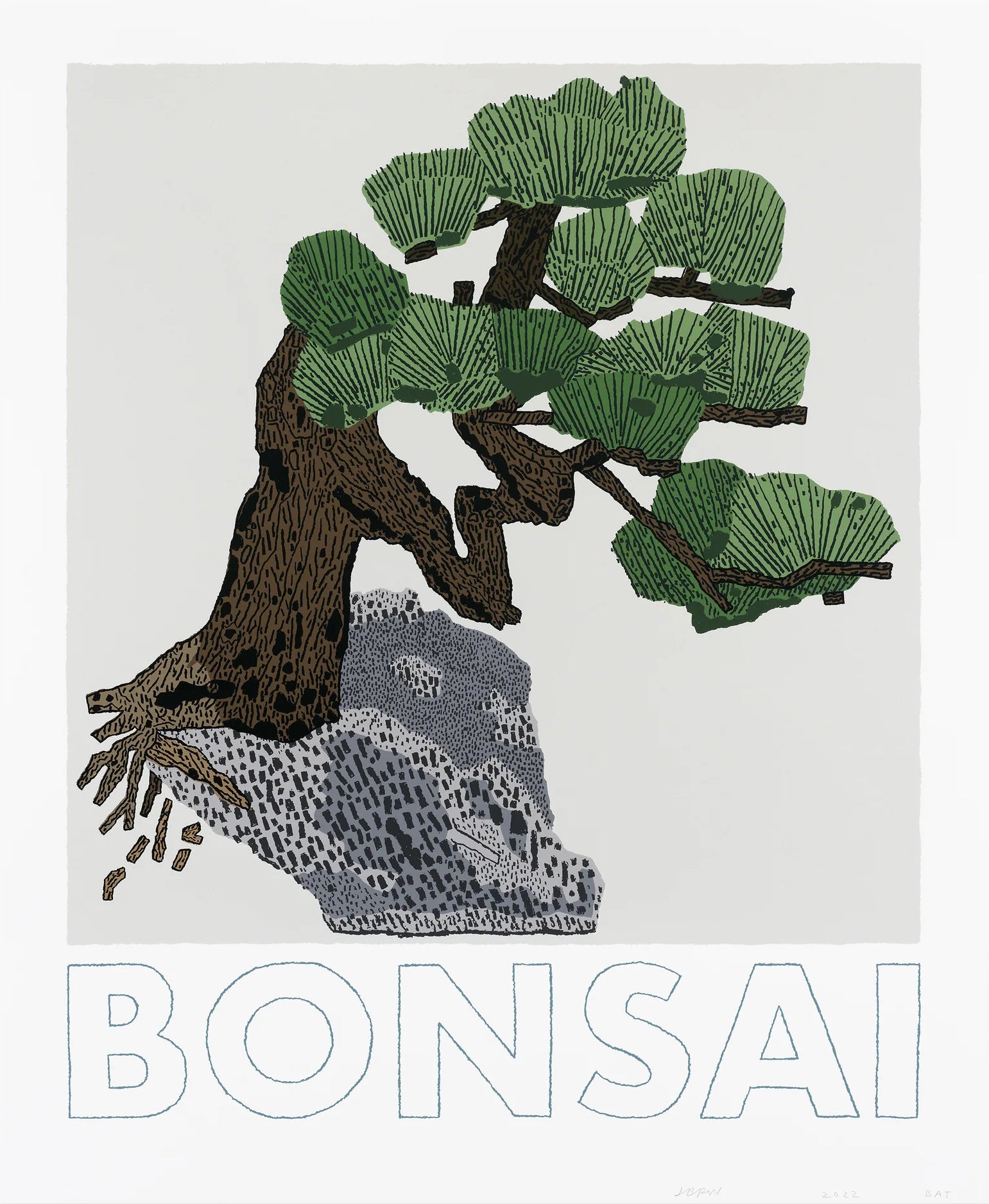 Bonsai, Banana and Bromeliad