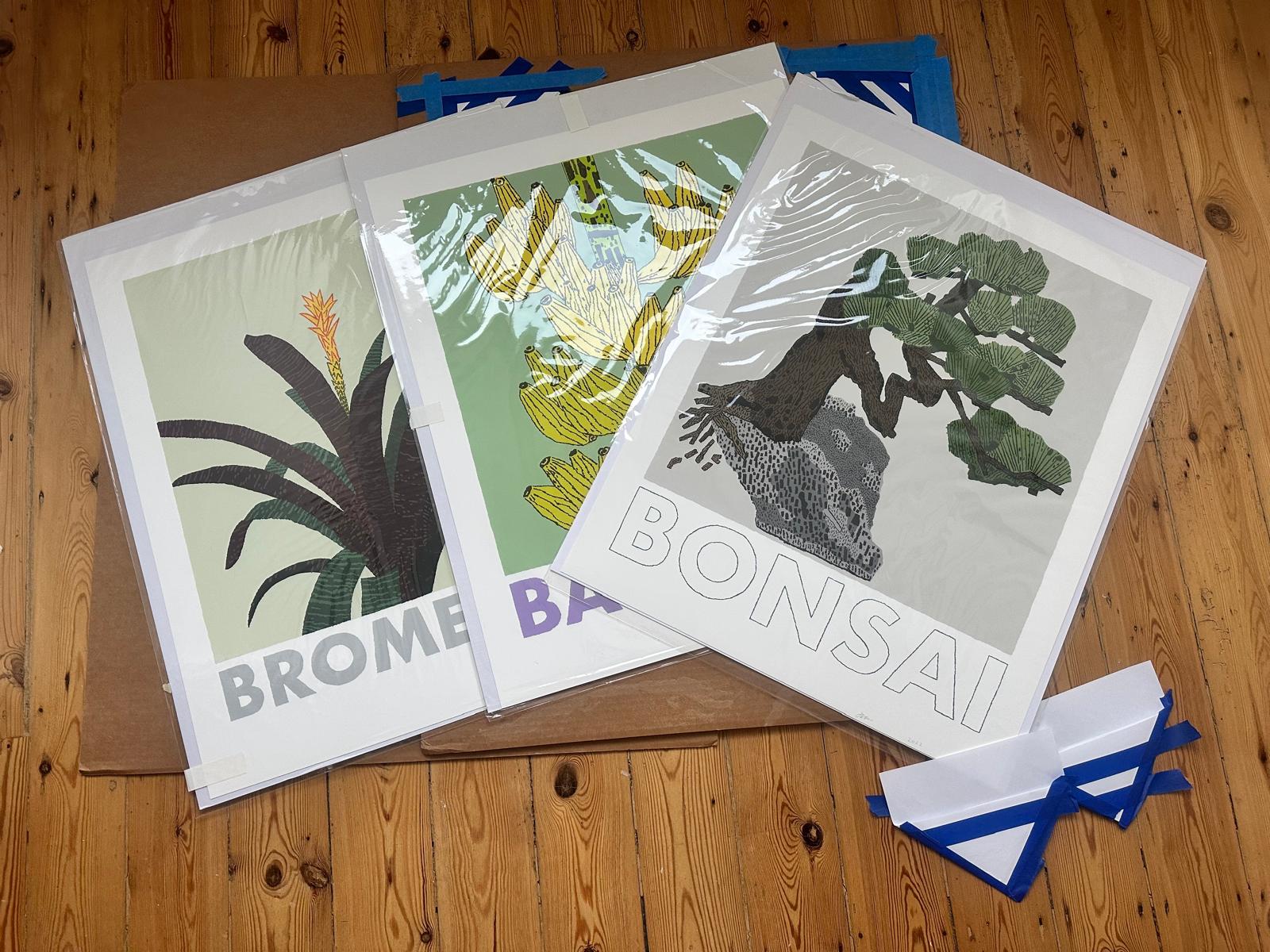 Bonsai, Banana and Bromeliad
