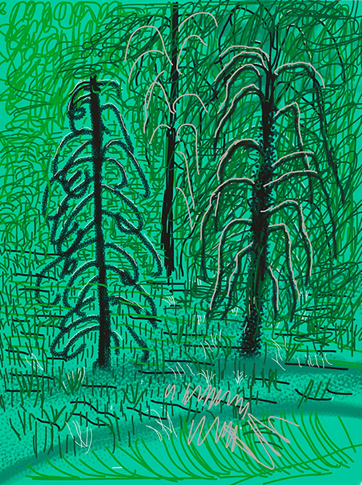 David Hockney Untitled No.16 from The Yosemite Suite iPad drawing print