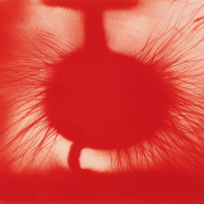Anish Kapoor prints and artworks available from Dovehouse Contemporary