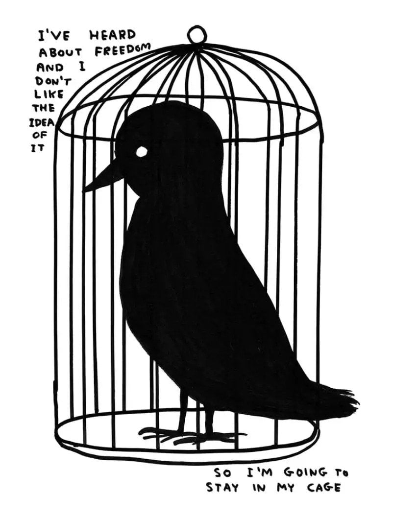 I've heard about freedom - My Store