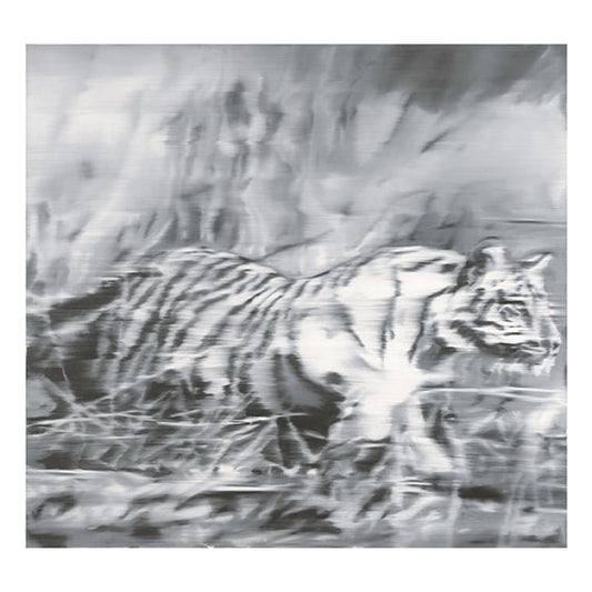 Tiger - My Store