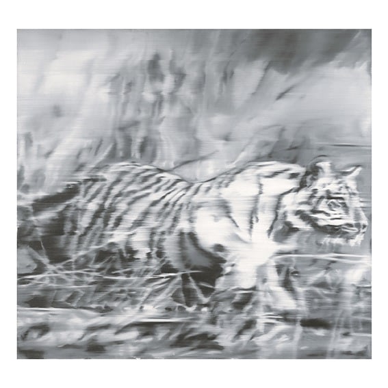 Tiger - My Store