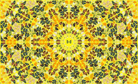 H18-4 Splendour (The Kaleidoscopes)