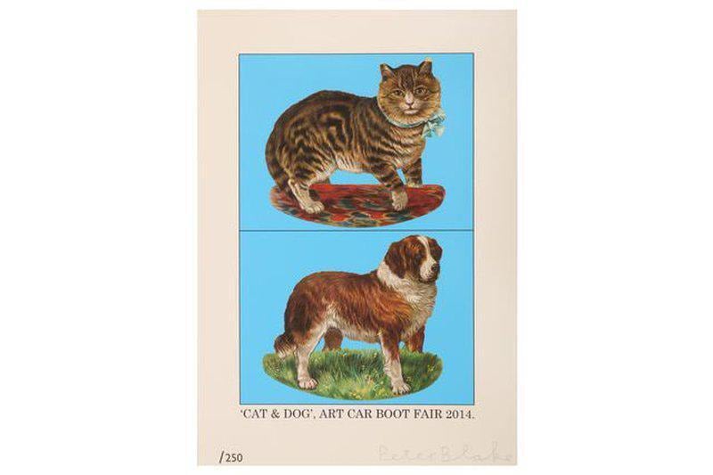 Cat and Dog - My Store