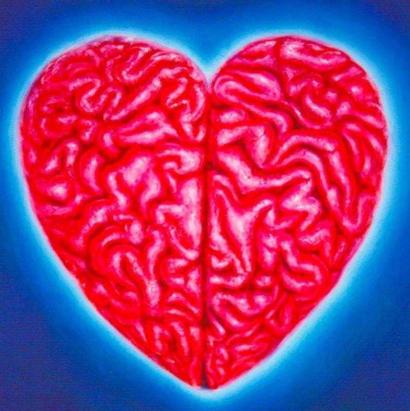 Heart Brain - My Store