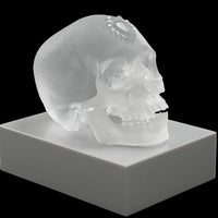Eternal Sleep (Satin Crystal Clear)
