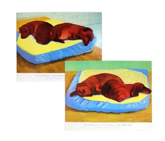 Dog 38 and Dog 43 (set of 2) - My Store