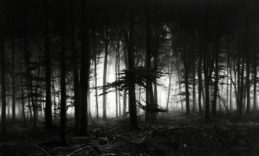 Forest of Doxa - My Store