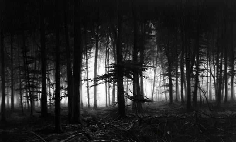 Forest of Doxa - My Store