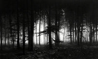 Forest of Doxa