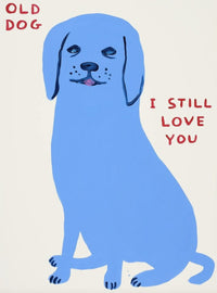 Old Dog