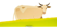 Cow (small). S.384
