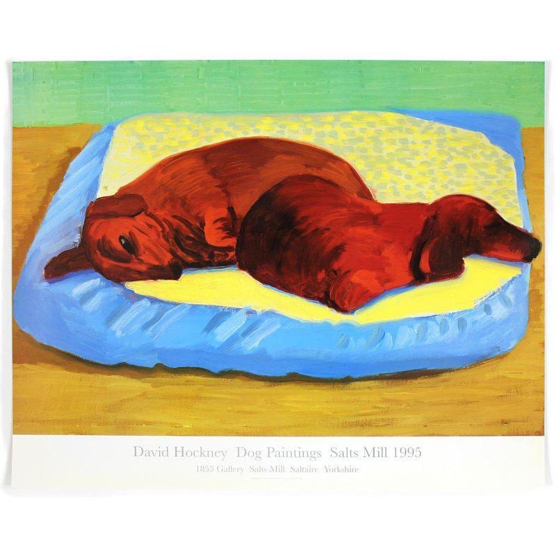 Dog 43 - My Store