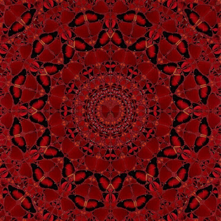 The Empresses H10-4 Suiko - My Store