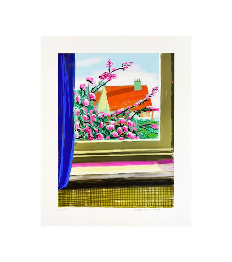 My Window 778 - My Store