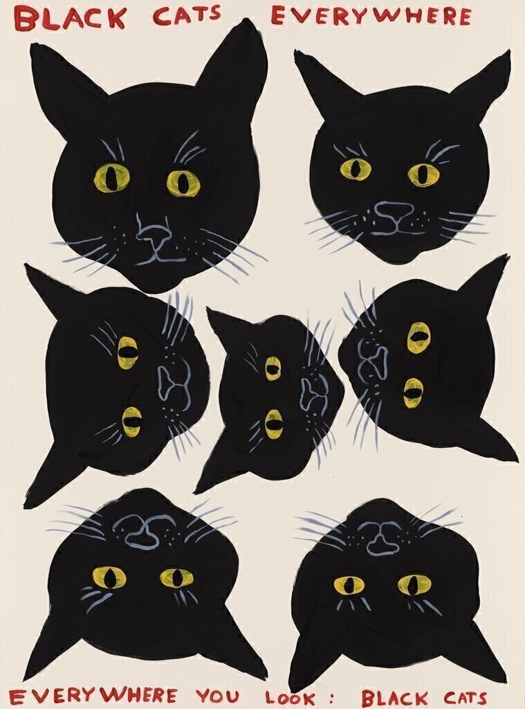 Black Cats Everywhere - My Store