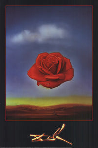 Meditative Rose