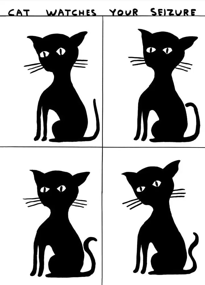Untitled (Cat Watches Your Seizure) - My Store