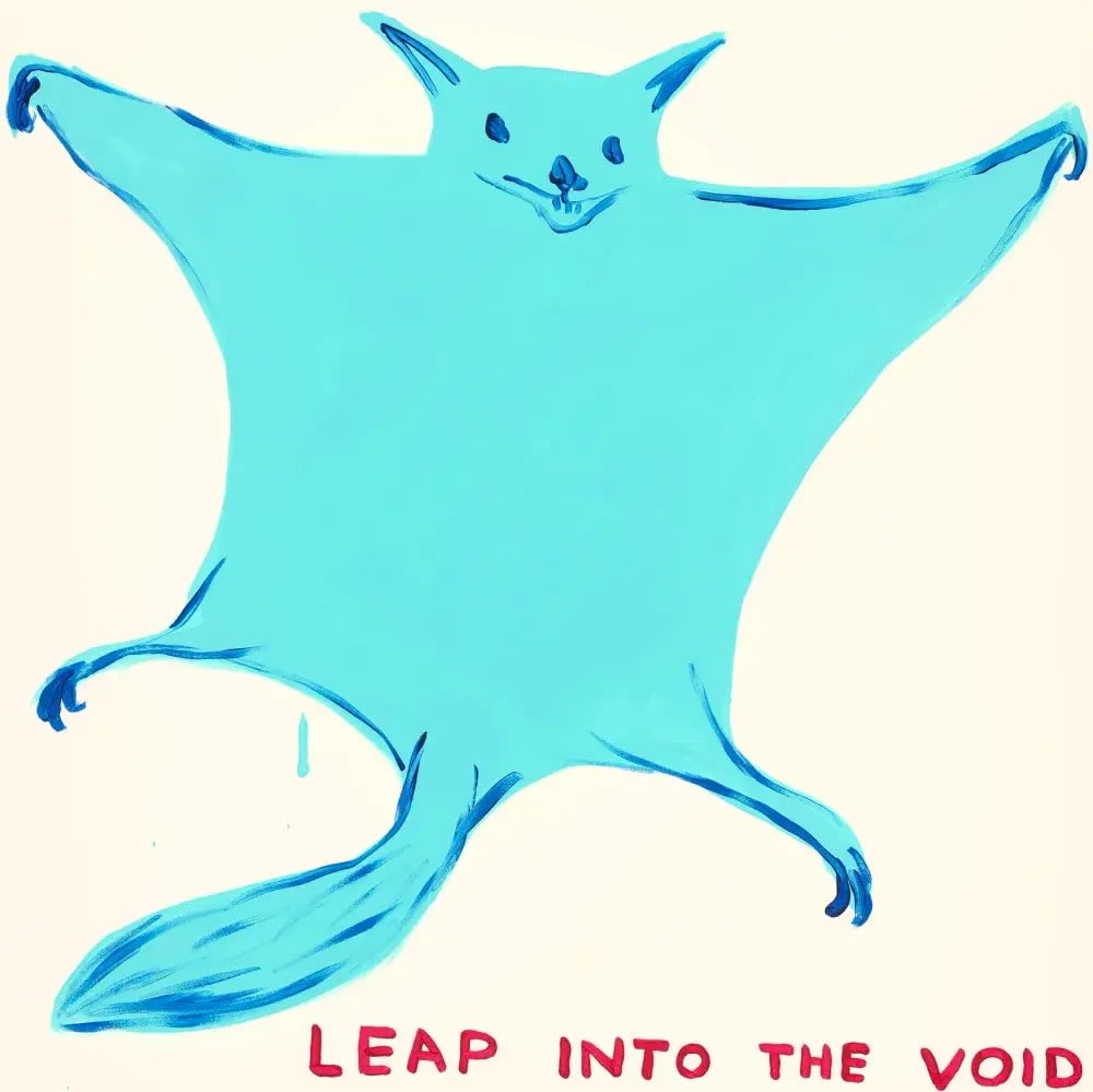 Leap Into the Void - My Store