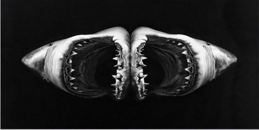 Double Shark - My Store