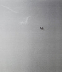 Untitled (Bird)