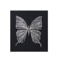 Eternal Beauty (Black and Platinum)