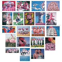 Snatched Ecstasy (Portfolio of 20)