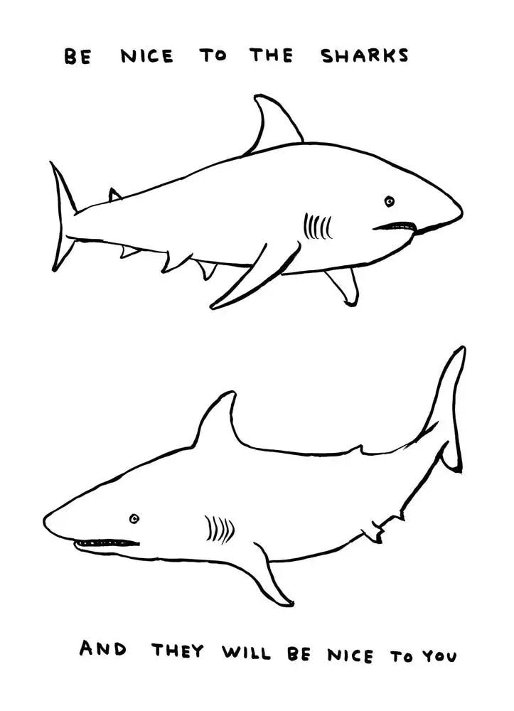 Untitled (Be Nice to the Sharks) - My Store