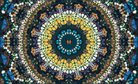 H18-3 Psychedelic (The Kaleidoscopes)
