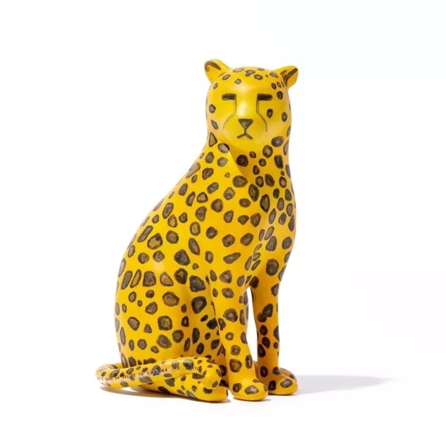 I Cannot Change My Spots but I Have No Desire to Change My Spots - My Store