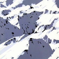 Schweizer Alpen 1