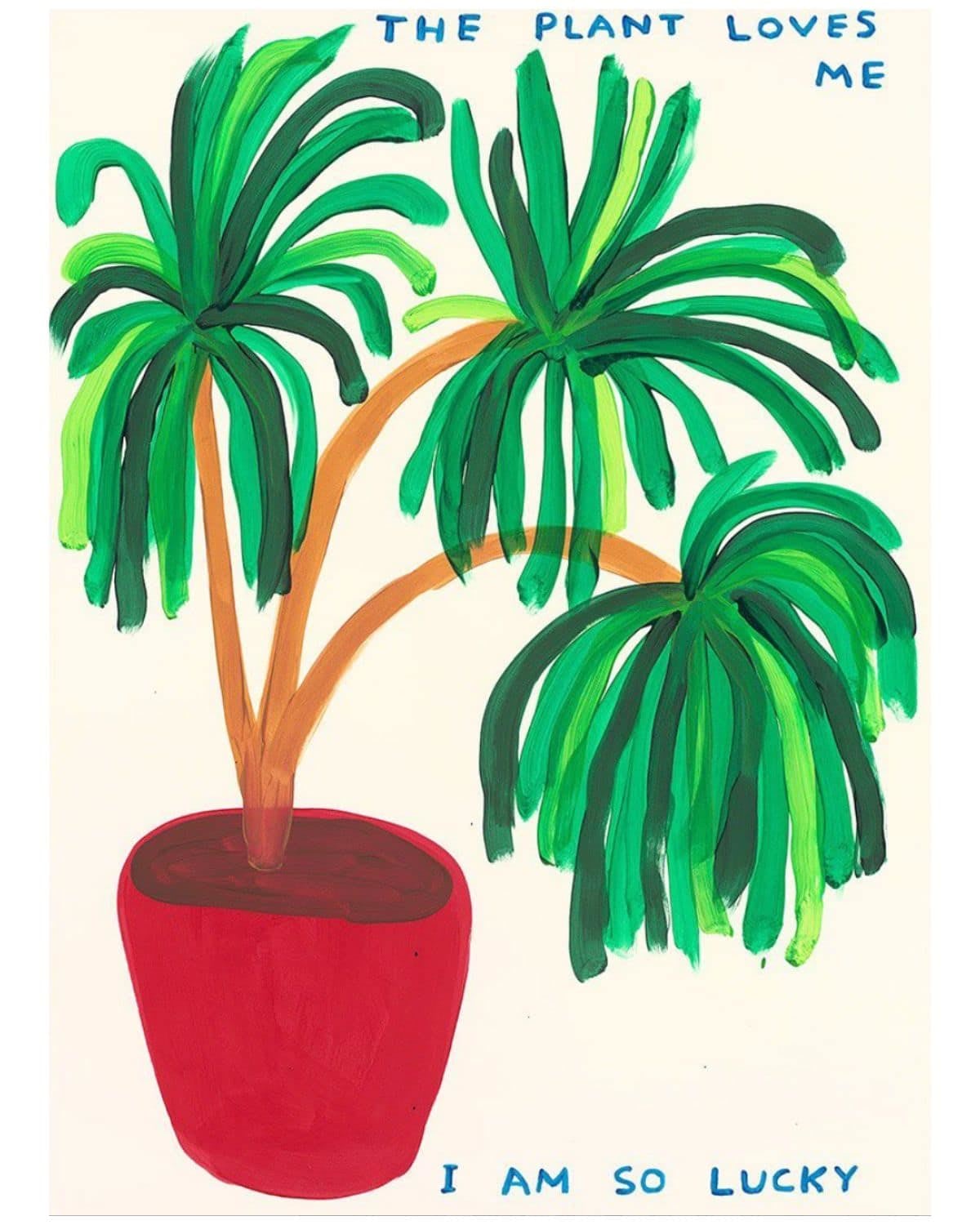The Plant Loves Me - My Store