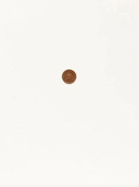 Found Coin