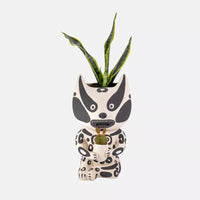 Forest Spirit Alan Planter