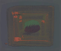 Tropical Fruit - Signed