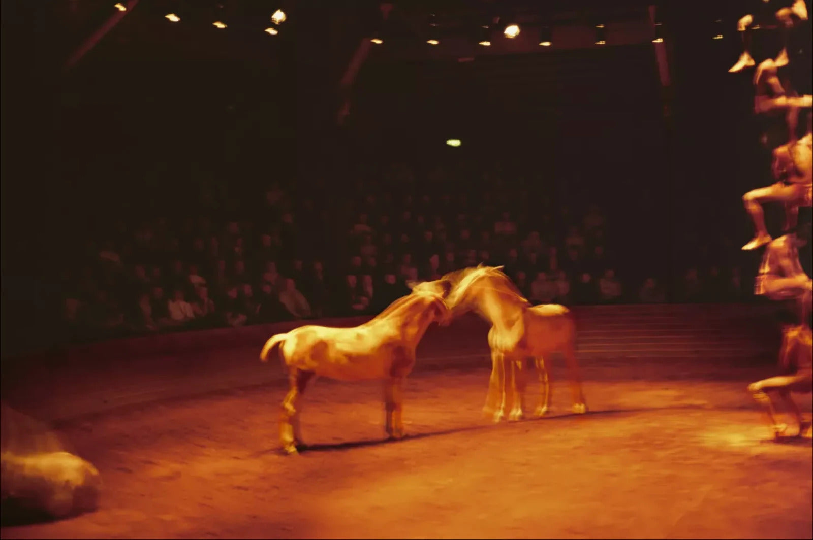Triptyk, Zingaro Equestrian Theater, Paris, 2004