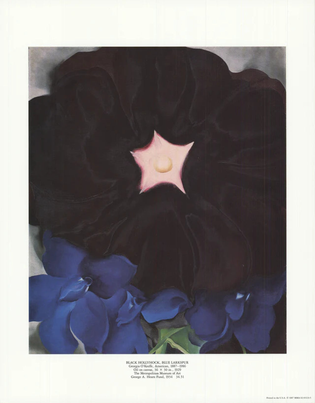 Black Hollyhock, Blue Larkspur