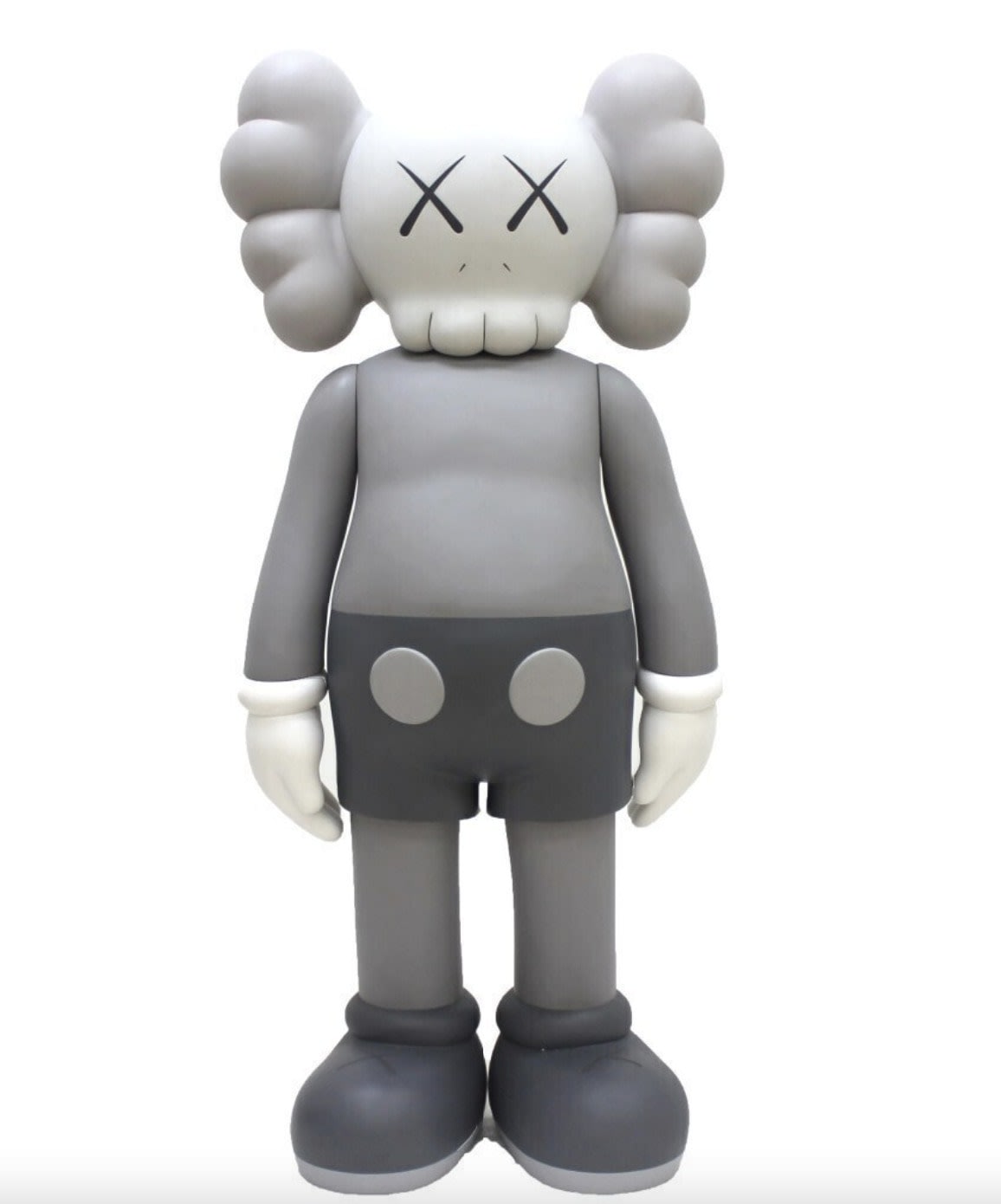 Companion (Grey) - My Store